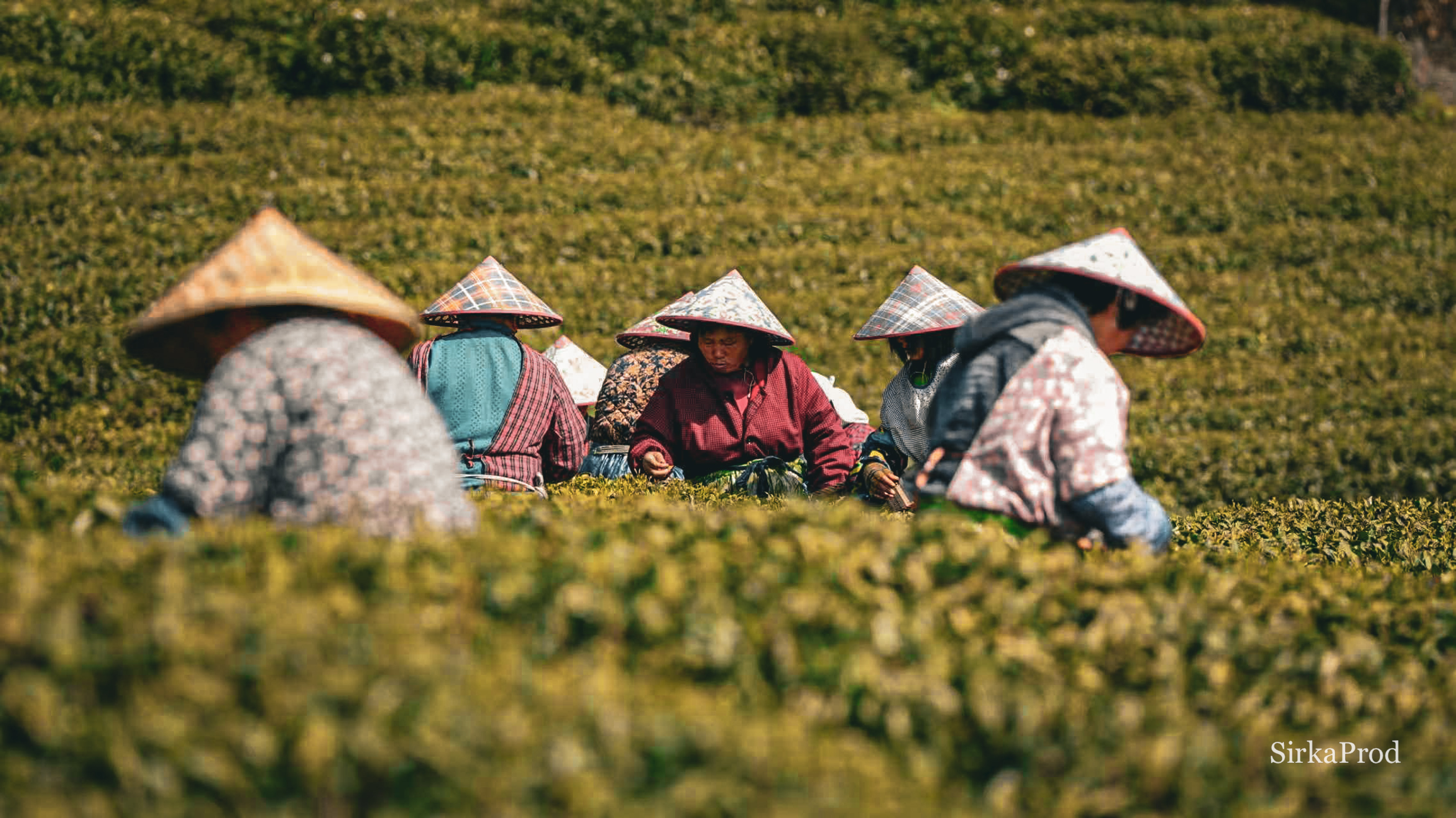 China — 16