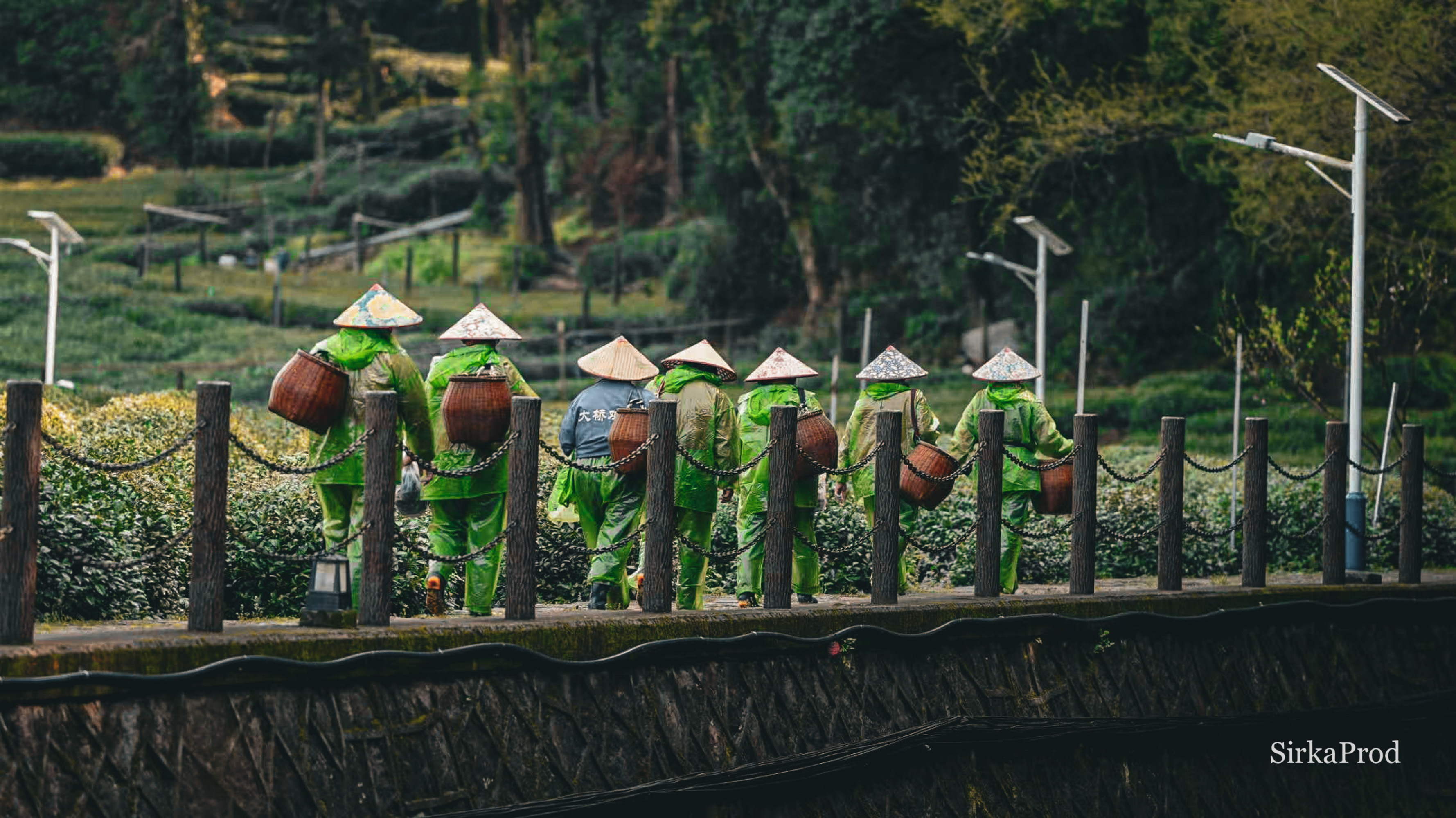 China — 18
