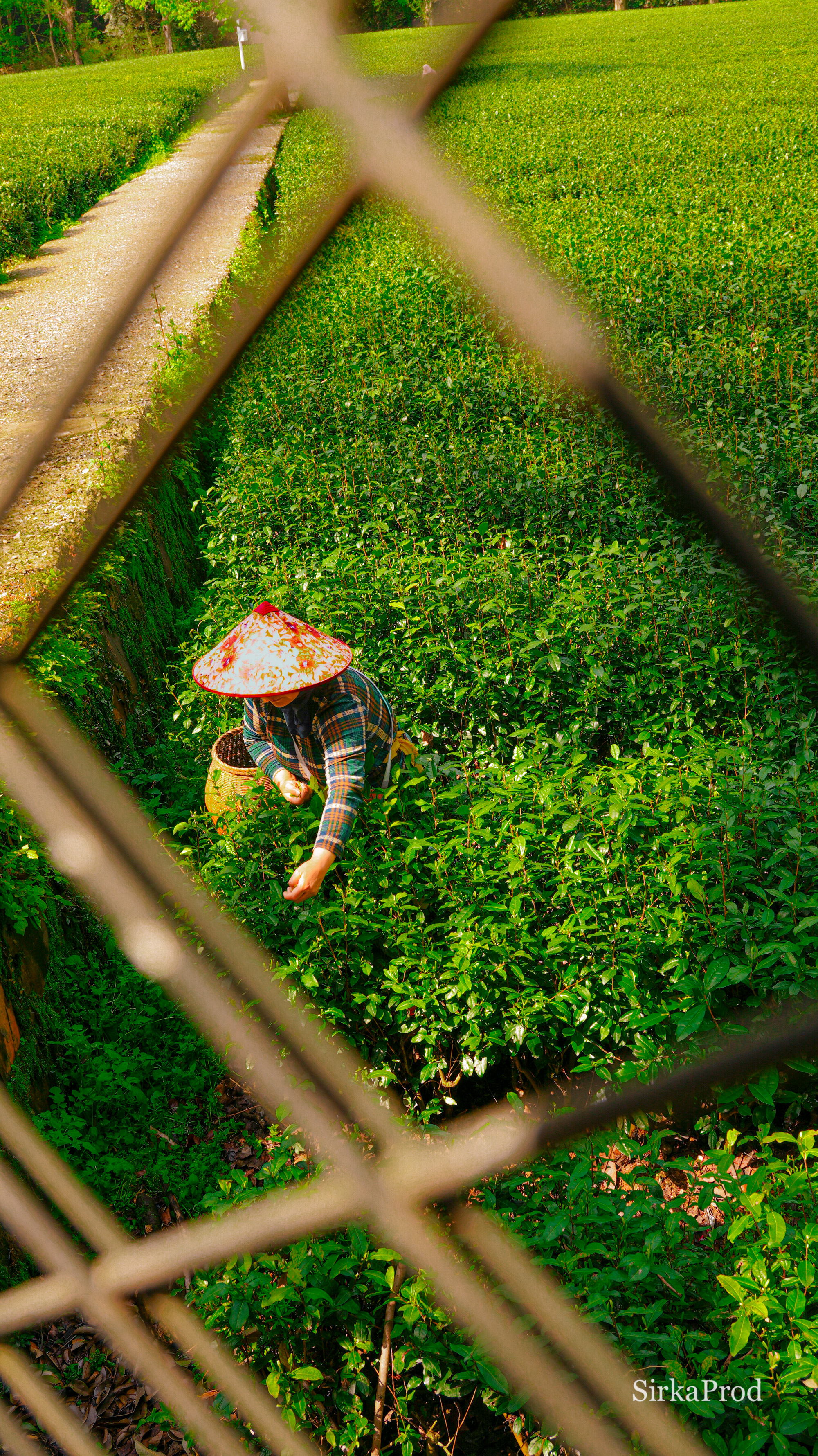 China — DSC02992 2