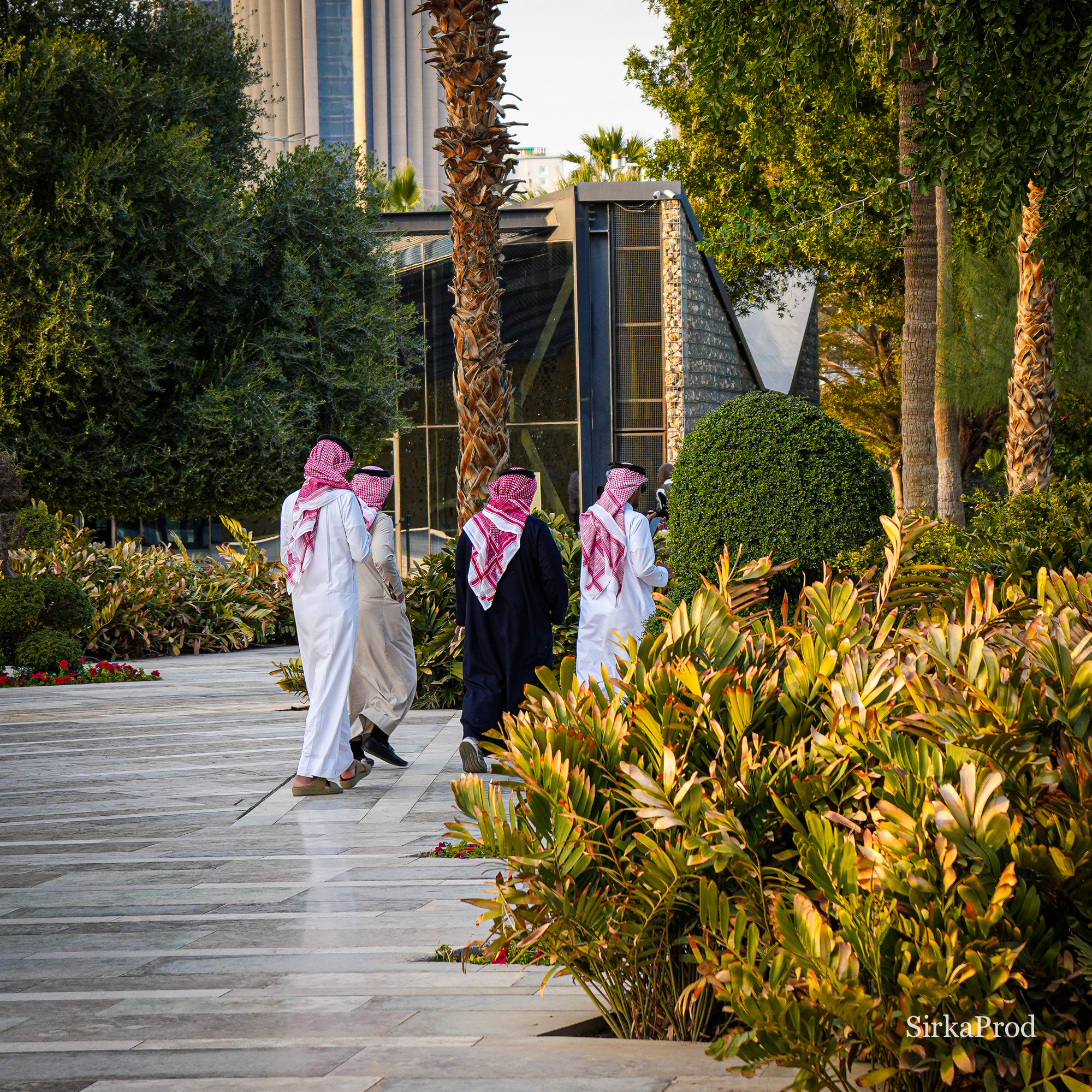 Kuwait — DSC08890
