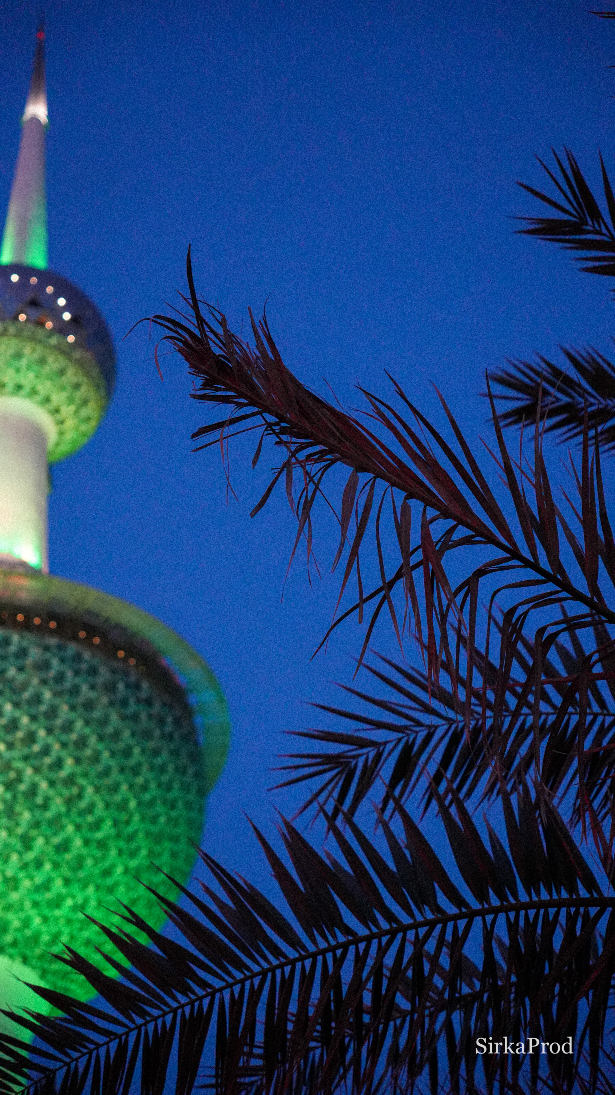 Kuwait — DSC09016