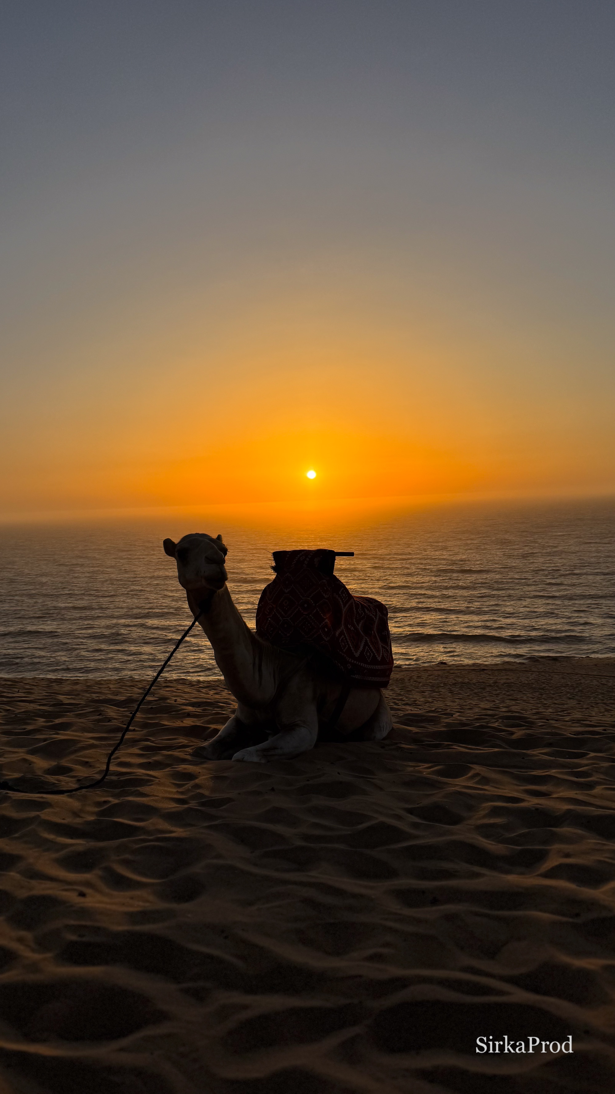 Morocco — IMG_6727