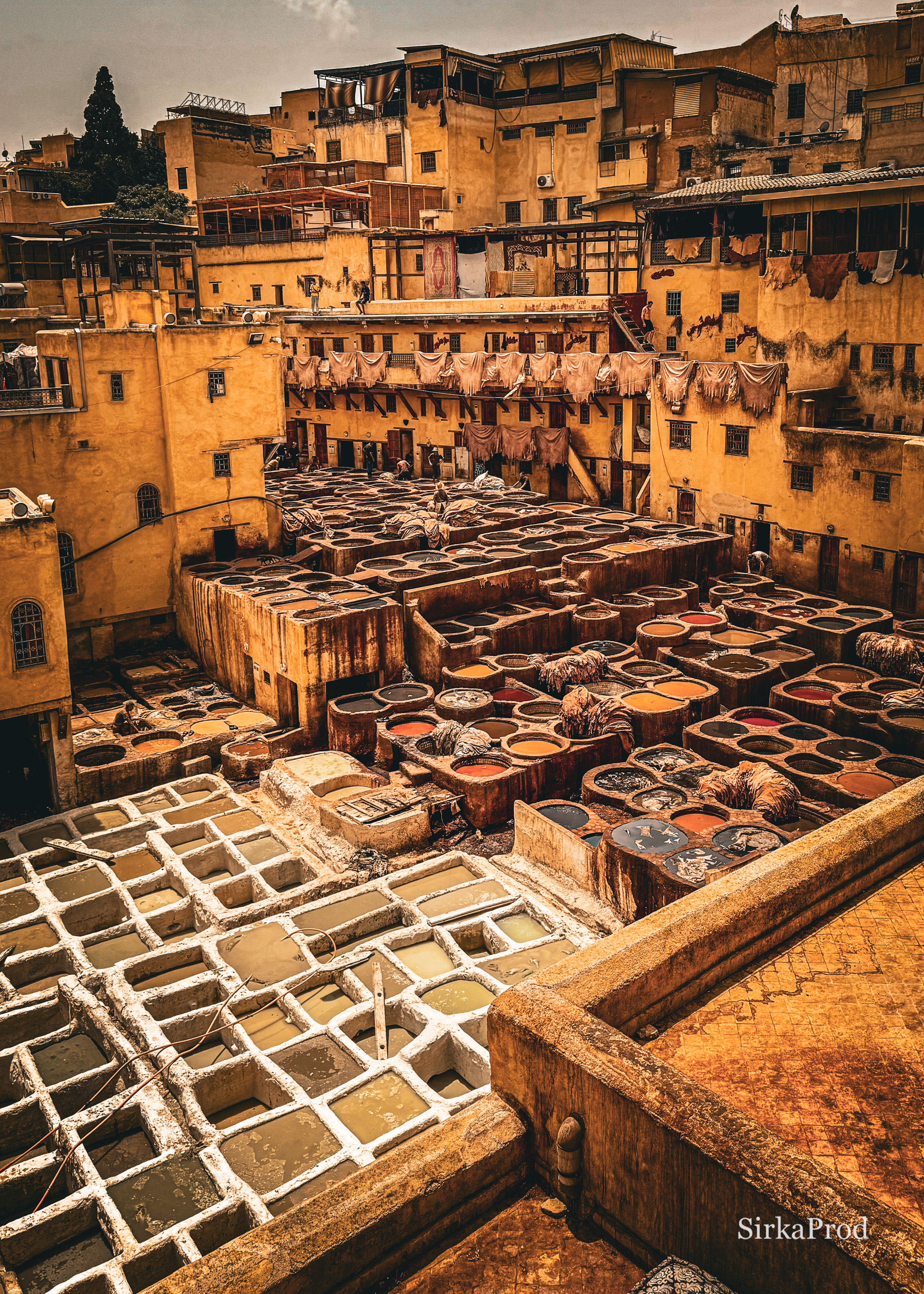 Morocco — IMG_7015