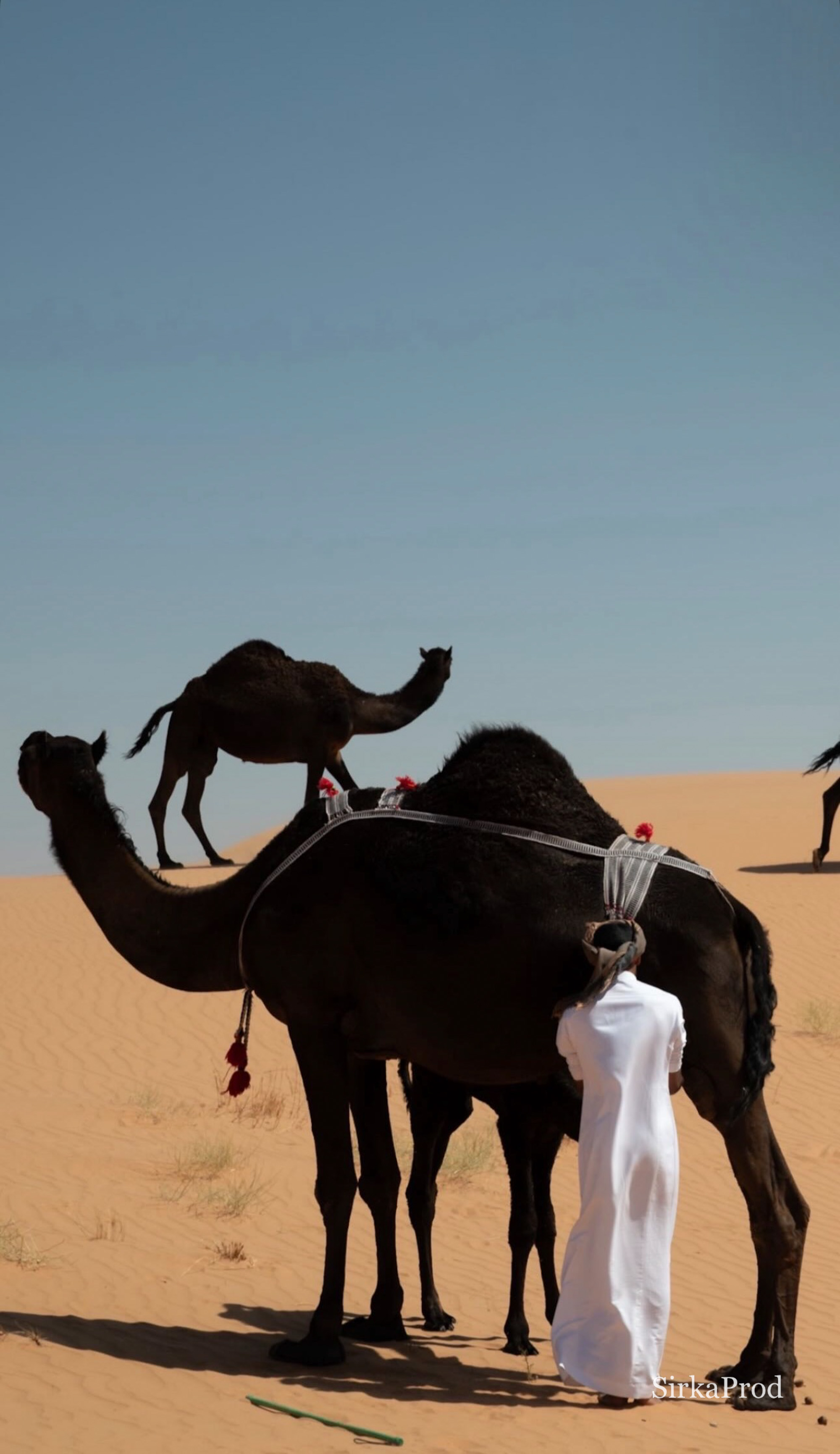 Oman — bs-g20