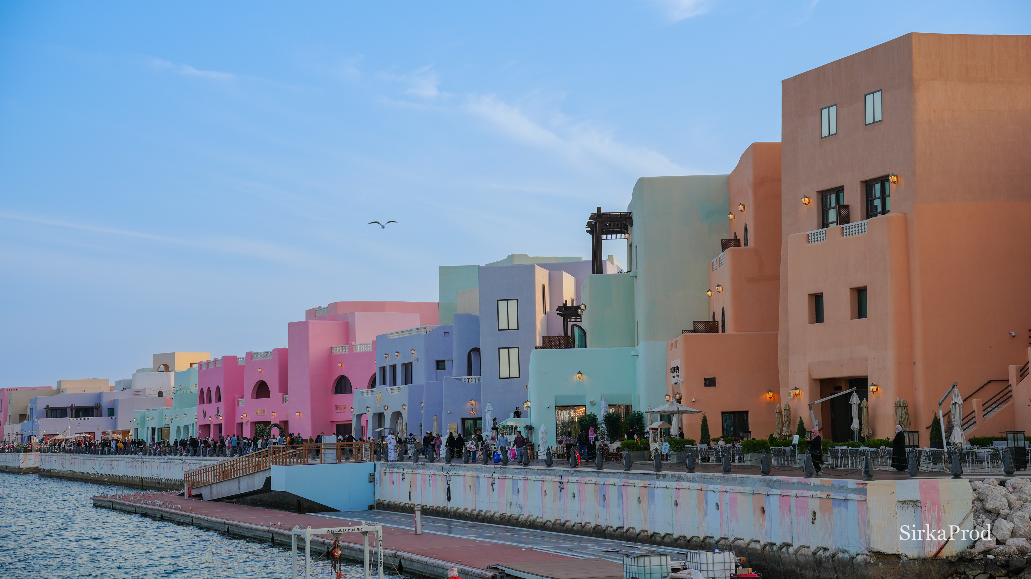 Qatar — DSC07800 2