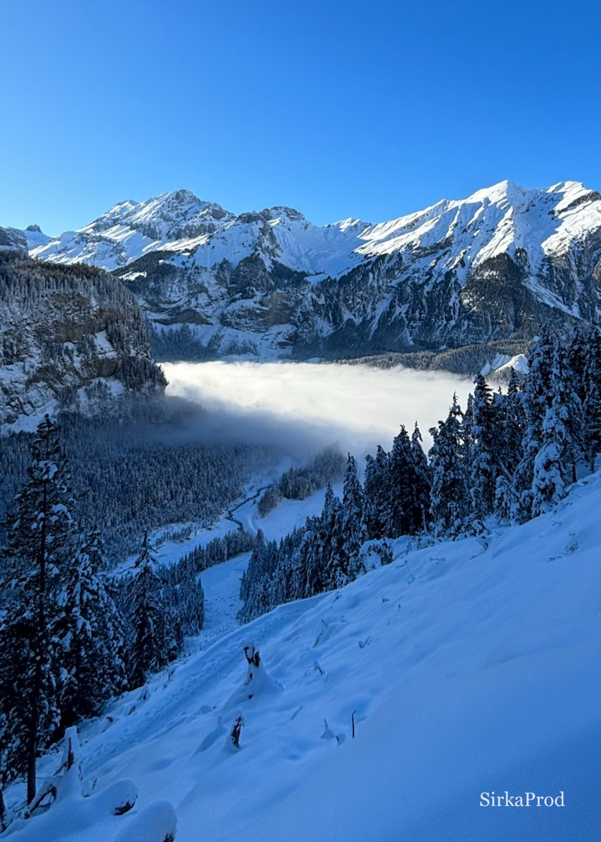 Switzerland — IMG_2159