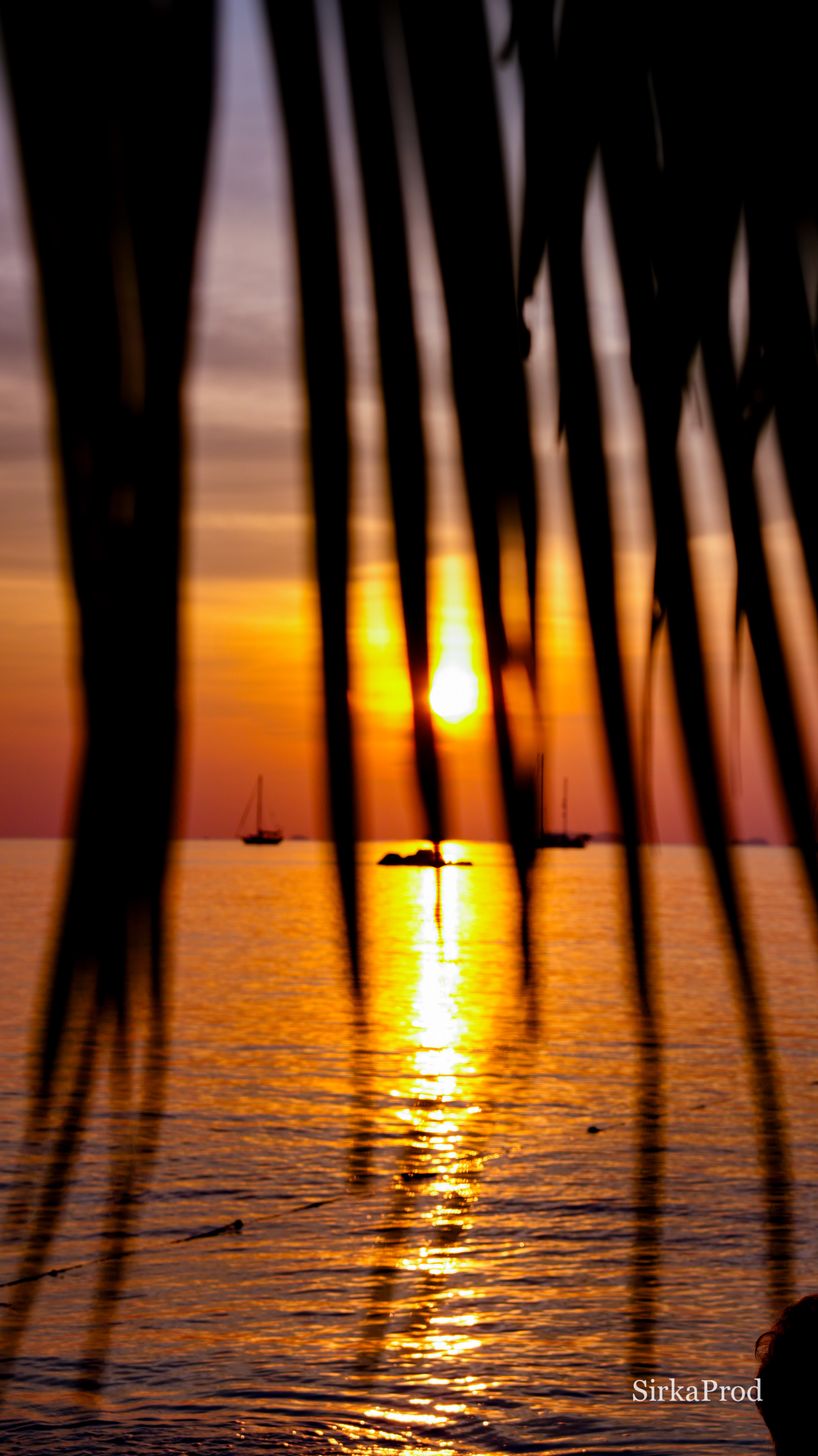 Thailand — DSC01744